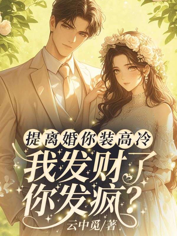 《和豪门太子领证时，前夫还在等我回头》南鸢傅辞砚的小说世界